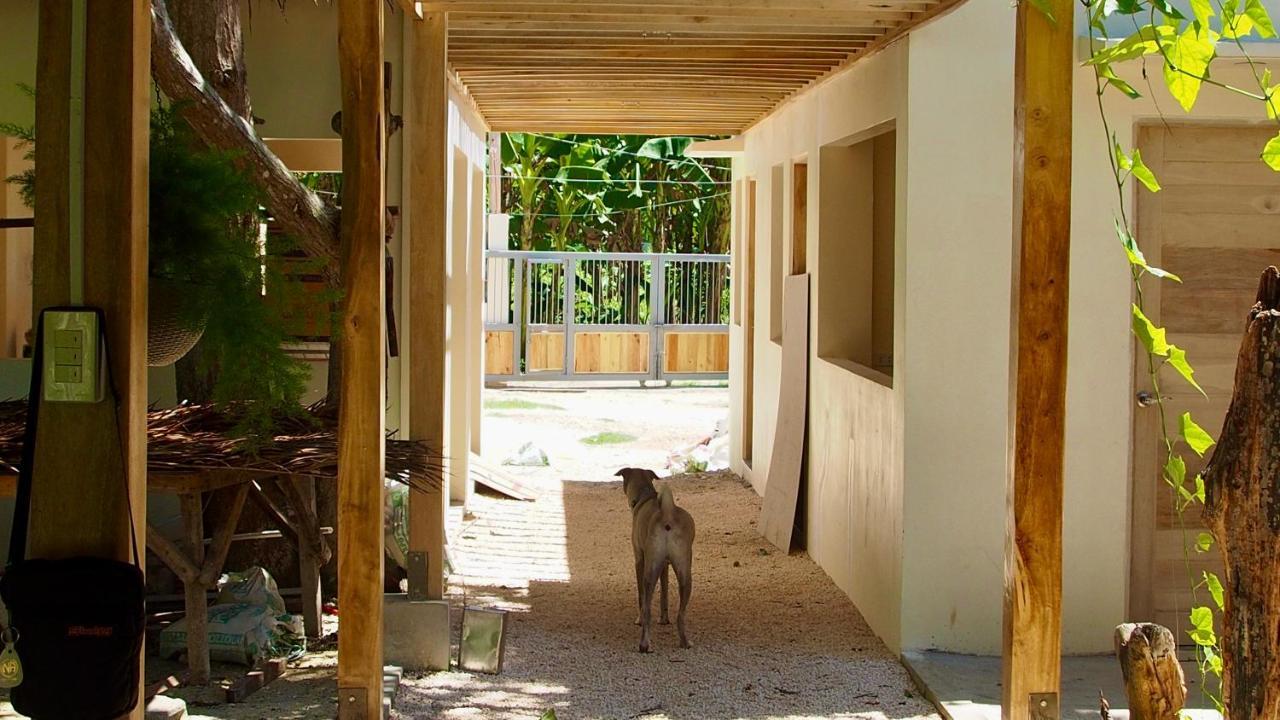 Camotes-Hidden-Huts Hotel San Francisco  Eksteriør billede